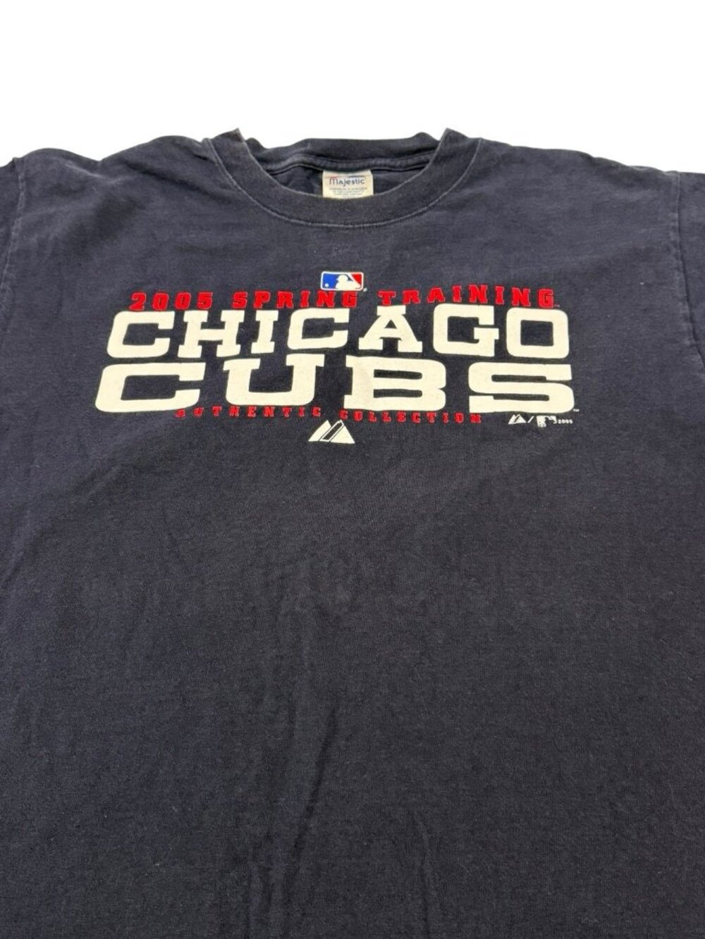 Vintage 2005 Chicago Cubs Spring Training Majestic MLB T Shirt Mens XL Blue